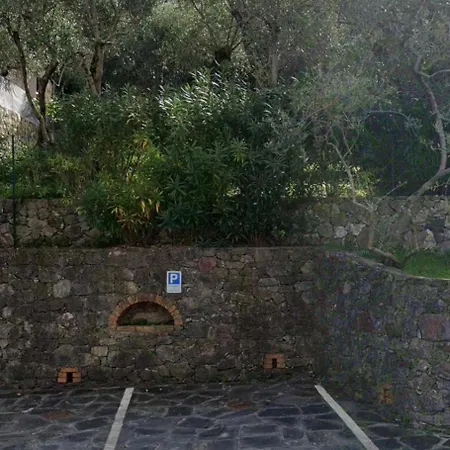 -la Terrazza Nel Vigneto- Golfo Dei Poeti Lägenhet *
